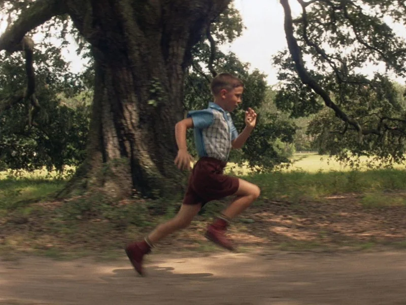 Forrest Gump still