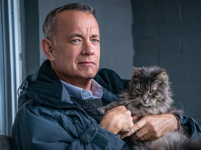 A Man Called Otto still